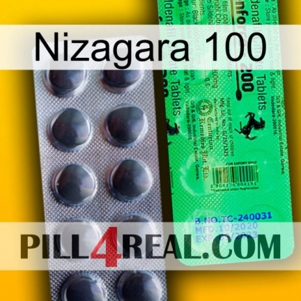 Nizagara 100 new04